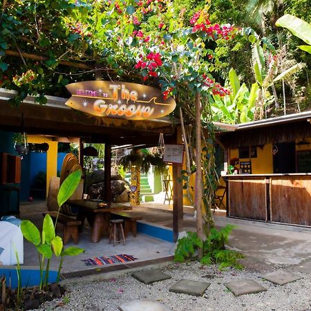 Sintonia Surf Hostel E Bar ウバトゥバ エクステリア 写真