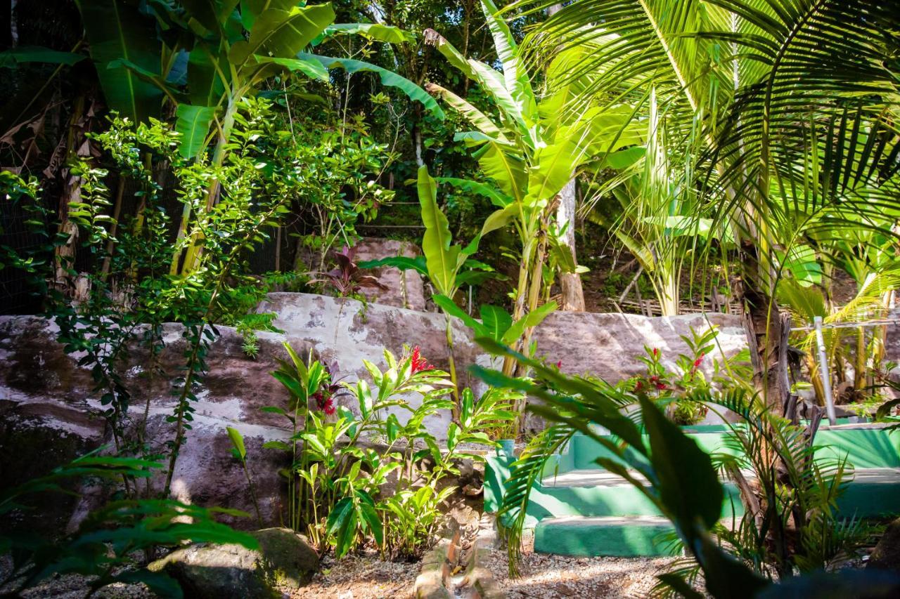 Sintonia Surf Hostel E Bar ウバトゥバ エクステリア 写真